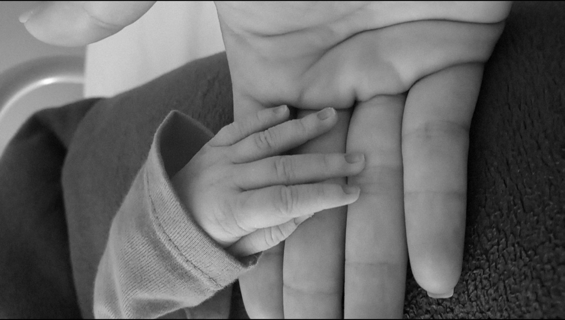 Porte Bebe Gemini Beco Mam Advisor